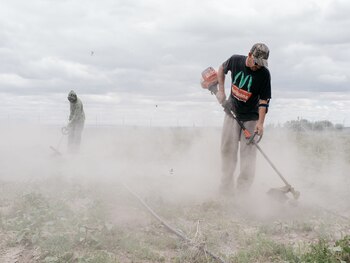 Un sitio de cultivo de
