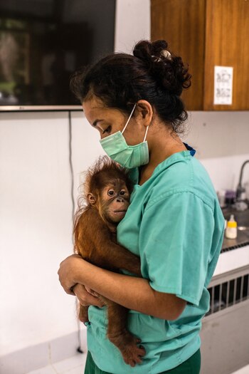 Un miembro del personal del