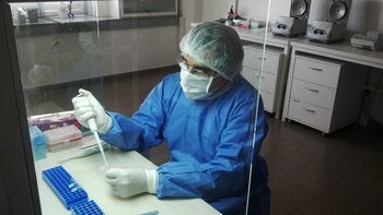 Las muestras se tomarán este