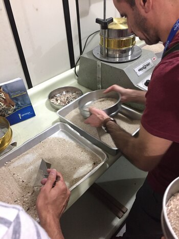 El análisis realizado por investigadores