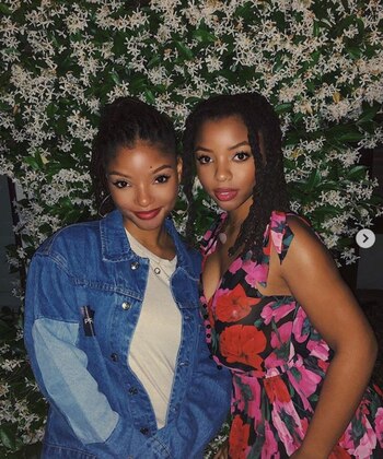 Halle saltó a la fama