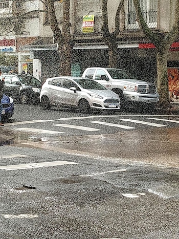 En Mar del Plata hubo