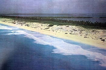 Twitter no llamó la atención