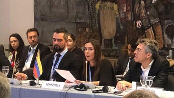 Elisa Trotta, representante del gobierno