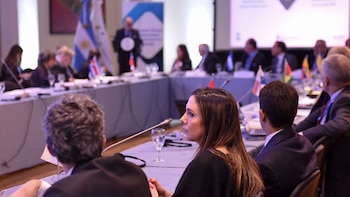 El IV Reunión Técnica Internacional