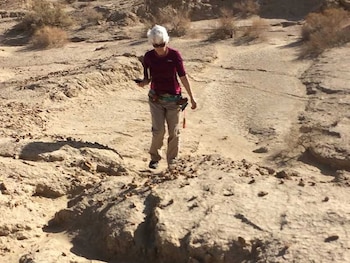 Susanne Jänecke, geóloga de la