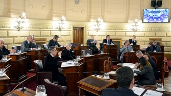 Los senadores acordaron un despacho