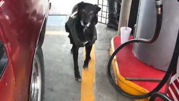 Los trabajadores de la gasolinera