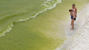 Aunque comúnmente se le conoce