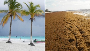 Hace 2 años no había