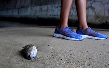 Las playas de Acapulco son