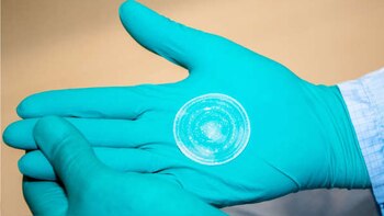 Las células cutáneas se pueden