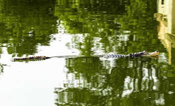 Ren-Horst Ruiz, una fotógrafa local