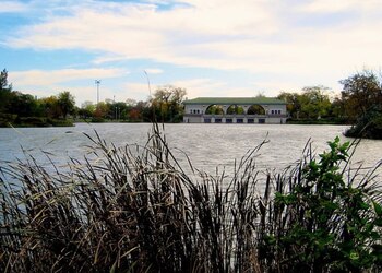 Los caimanes no suelen habitar