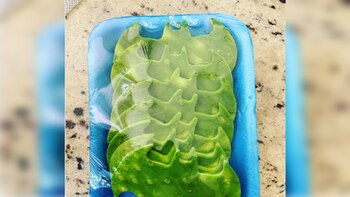 Los ‘batinopales’ se hicieron famosos en Twitter cuando una usuaria compartió una foto de ellos (Foto: Twitter @tesiture)