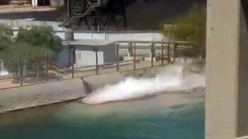 Grupo México derramó 3 mil