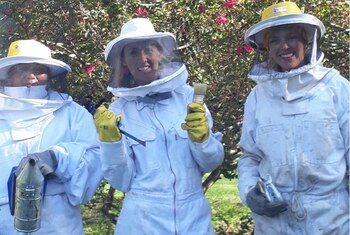 “Trabajamos justamente como la abejas,