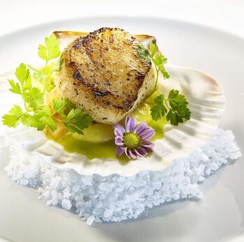 Vieira en una concha sobre