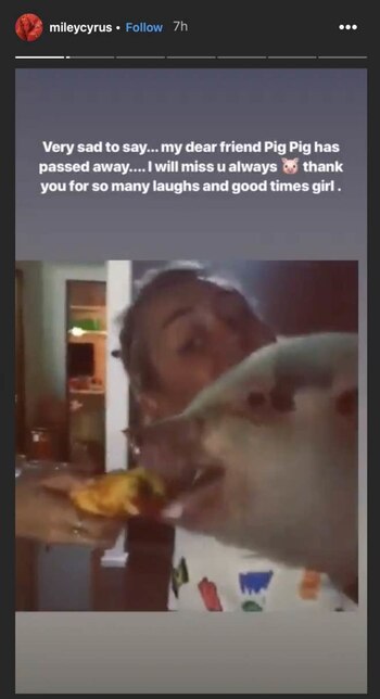 Instagram: @mileycyrus