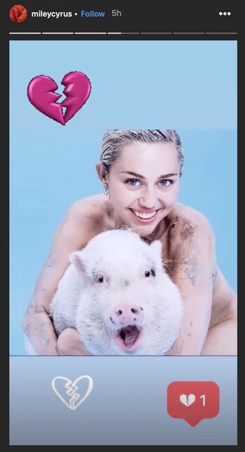 Instagram: @mileycyrus