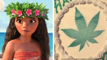 La familia se sorprendió luego