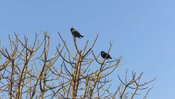 En esta reserva natural conviven