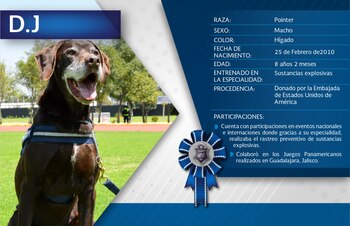 Les rindieron un merecido homenaje