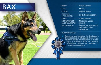 La Policía presume a sus