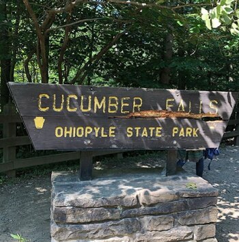 Aunque el río presenta habitualmente una profundidad de 0.60 metros, durante este mes de julio el nivel del agua ha sido muy alto, con niveles de 1.52 metros y corrientes mucho más fuertes (Foto: Instagram @juliajung1118)