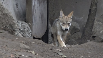 (Foto: Infobae, Juan Vicente Manrique)