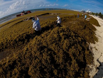Aunque limpien, parece como si