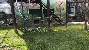 Santuario Anami de Brasil donde