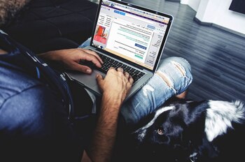 En México hace falta formar