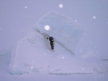 (Photo by STEPHANIE PERTUISET /