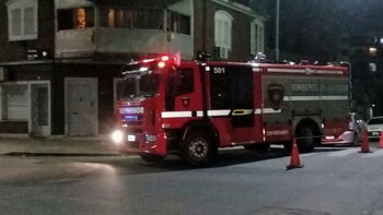 Trabajaron en el lugar dos