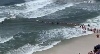 Una multitud de personas unió