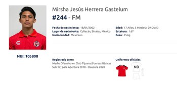 La ficha oficial del menor