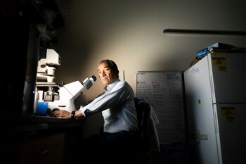 Lee Riley, profesor de Epidemiología