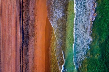 “líneas verticales”, de Liz Bell