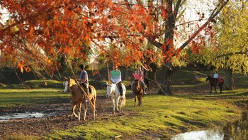 El lugar estará abierto desde el 24 de julio al 2 de agosto de 11 a 17:00hs para aquellos que quieran conocerlo.