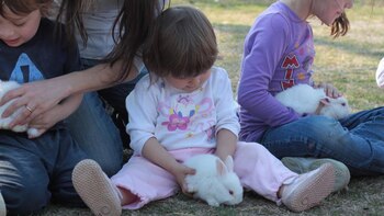 El trato con los animales y ordeñar las vacas son algunas de las actividades que están pensadas específicamente para los más chicos.