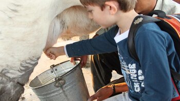 El lugar es ideal para una escapada con la familia en las vacaciones de invierno.
