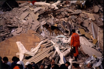 Juan Carlos Lombardi y el ovejero alemán Lupo, en plena tarea de rescate en la AMIA. Foto: Archivo Atlántida.