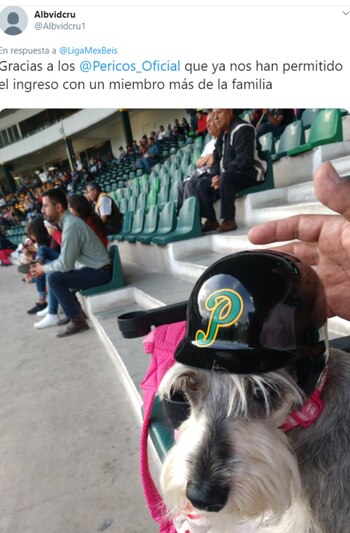 Algunos fans en Puebla ya