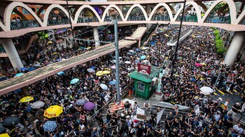 Manifestantes llevan paraguas en referencia