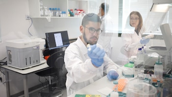 El laboratorio israelí que cultiva carne