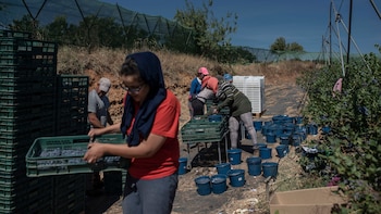 Trabajadoras en una granja en