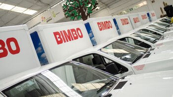 Las acciones de la empresa