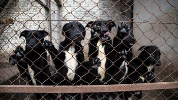 “Es necesario que la gente