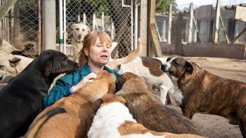 “El 70 por ciento de